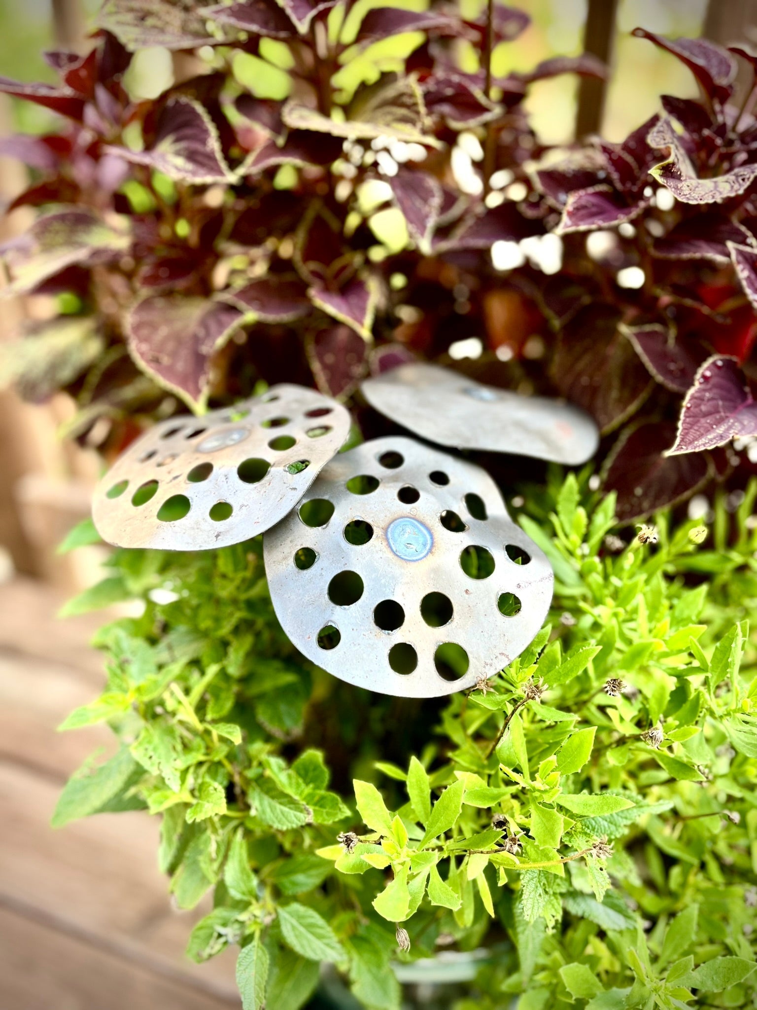 3-Pack Metal Lotus Seed Pod Garden Stakes