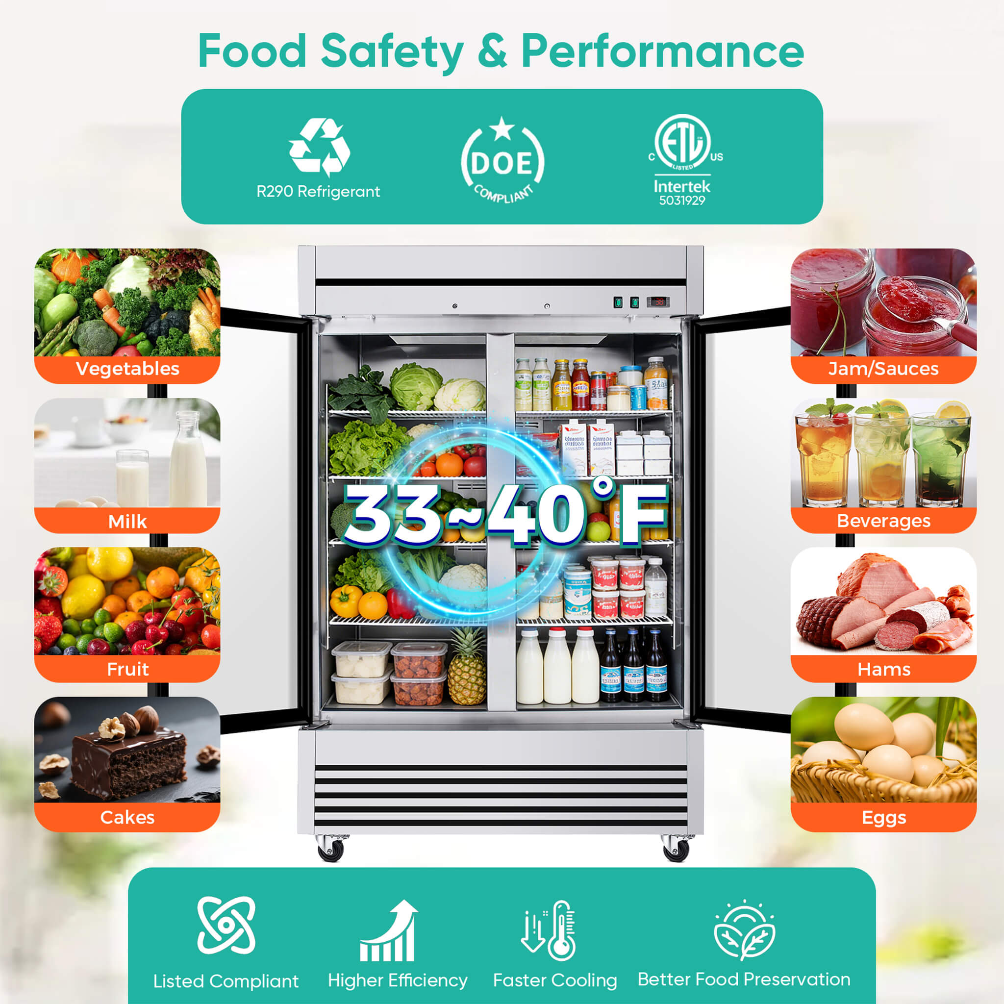 49-Inch Upright Commercial Reach-In Display Refrigerator