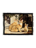 Abysinian Family Blanket