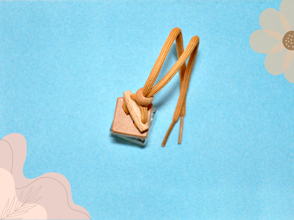 Clean & Fresh Hanging Car Freshener Collection