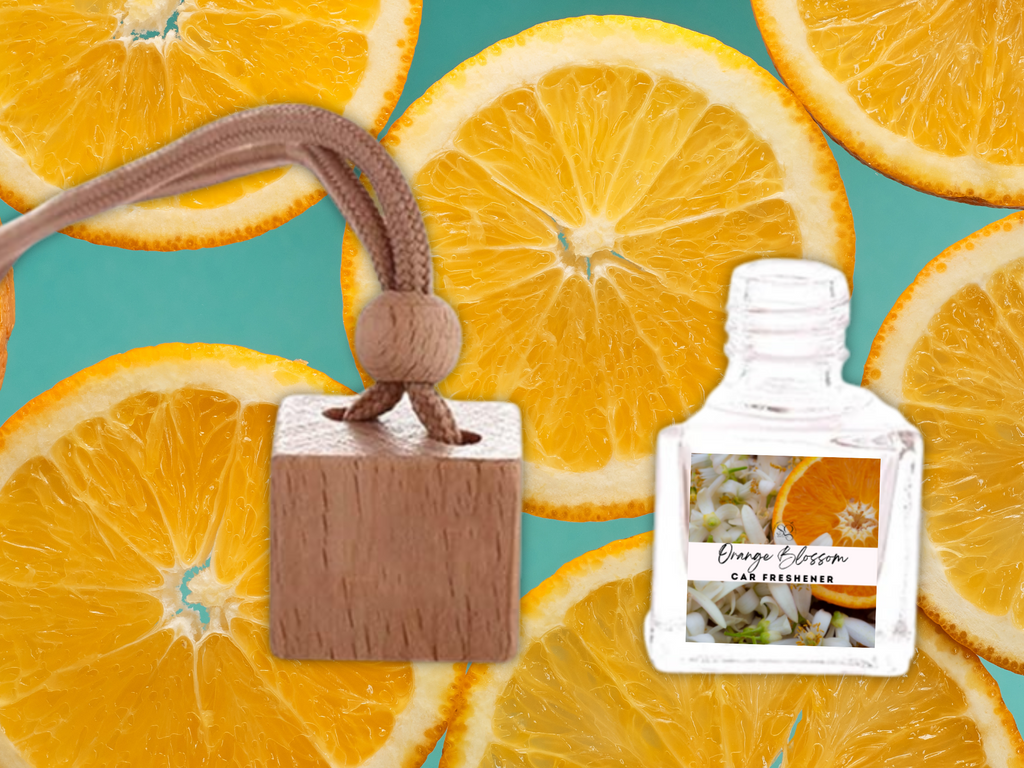 Clean & Fresh Hanging Car Freshener Collection