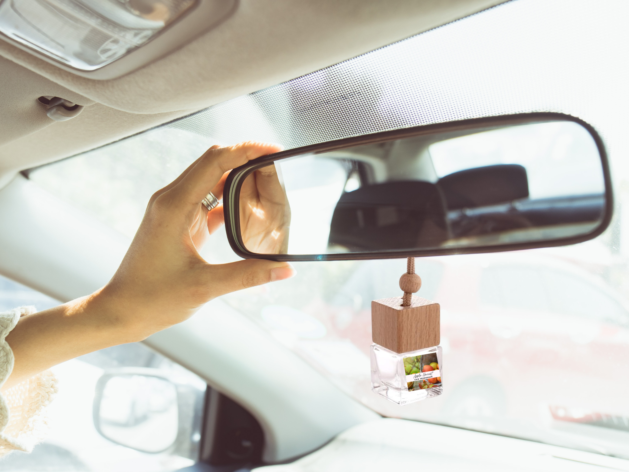 Clean & Fresh Hanging Car Freshener Collection