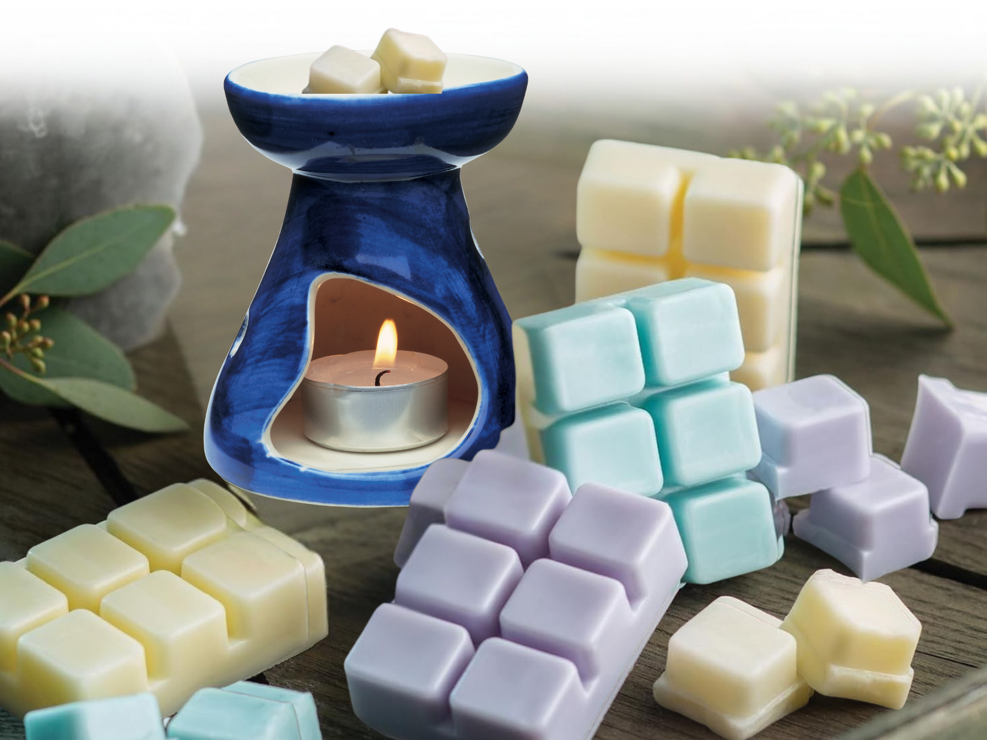 clamshell Wax Melts - Spa & Relaxation  – Calming Aromas for Wellness, Self-Care & Gift Sets