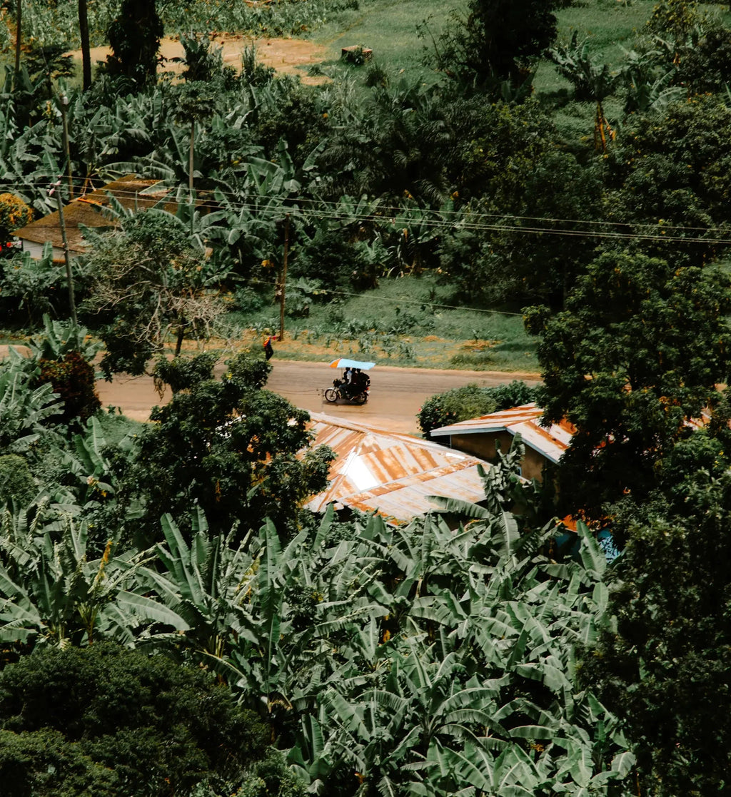 The Road Less Traveled