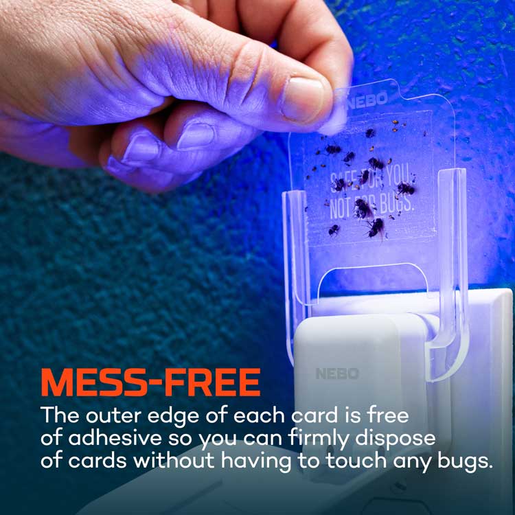 Indoor Flying Insect Trap Starter Kit