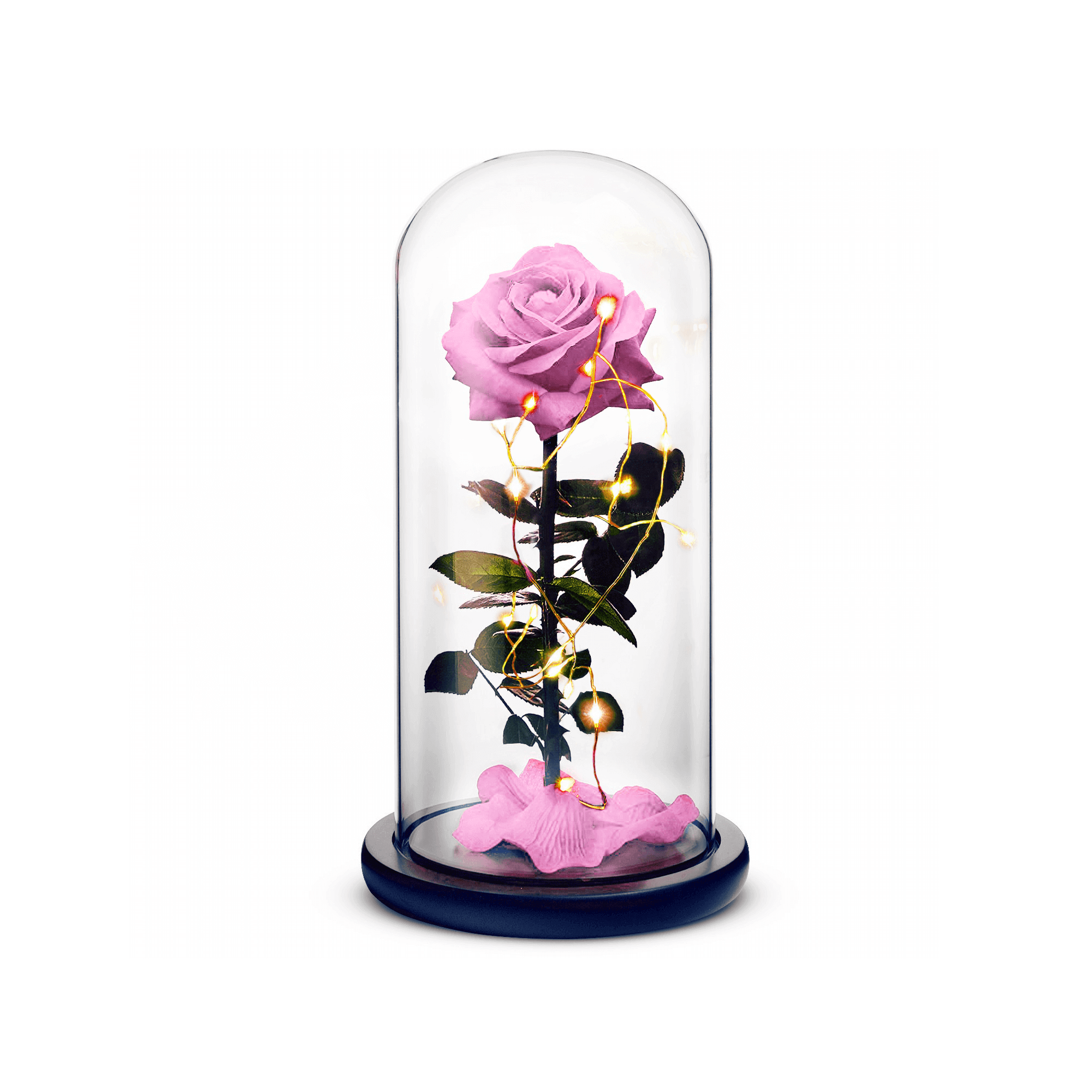 Beauty and The Beast Rose (Pink)