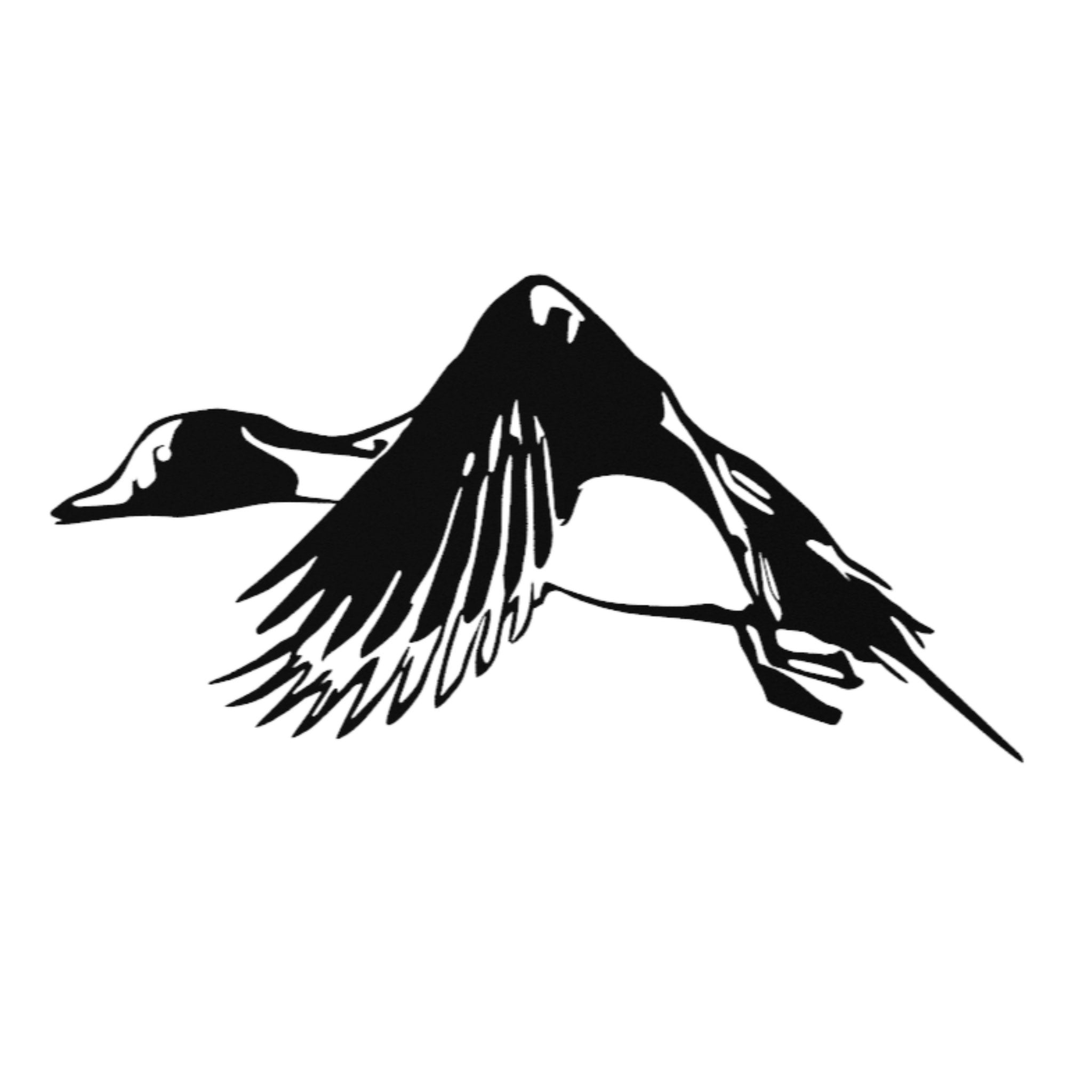 Steel Flying Pintail Duck | Wall Art